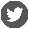 twitter button white